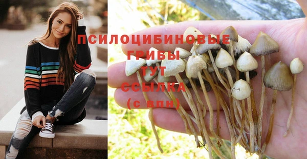 ECSTASY Алексин
