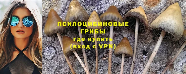 меф Алзамай