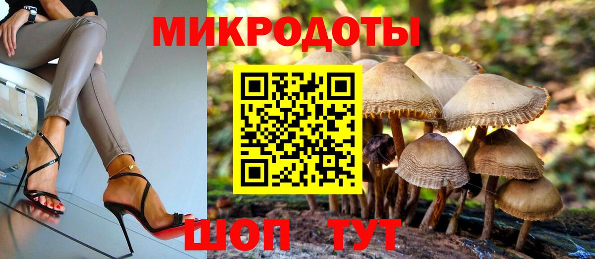 Псилоцибиновые грибы Psilocybine cubensis Ленинск-Кузнецкий